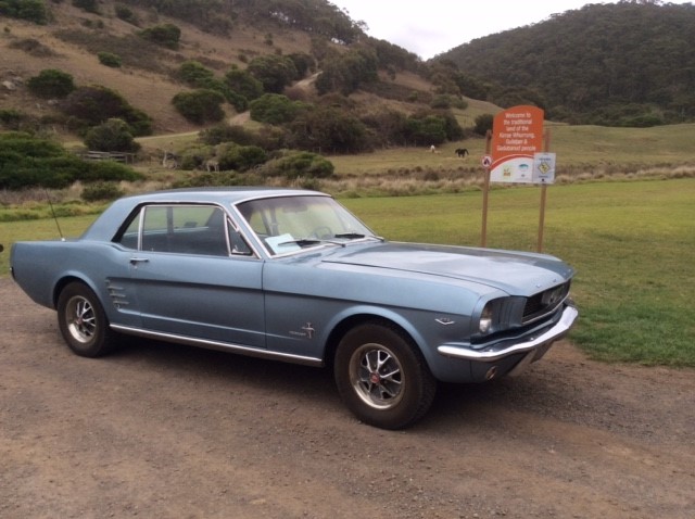 1966 Ford Mustang 289 V8