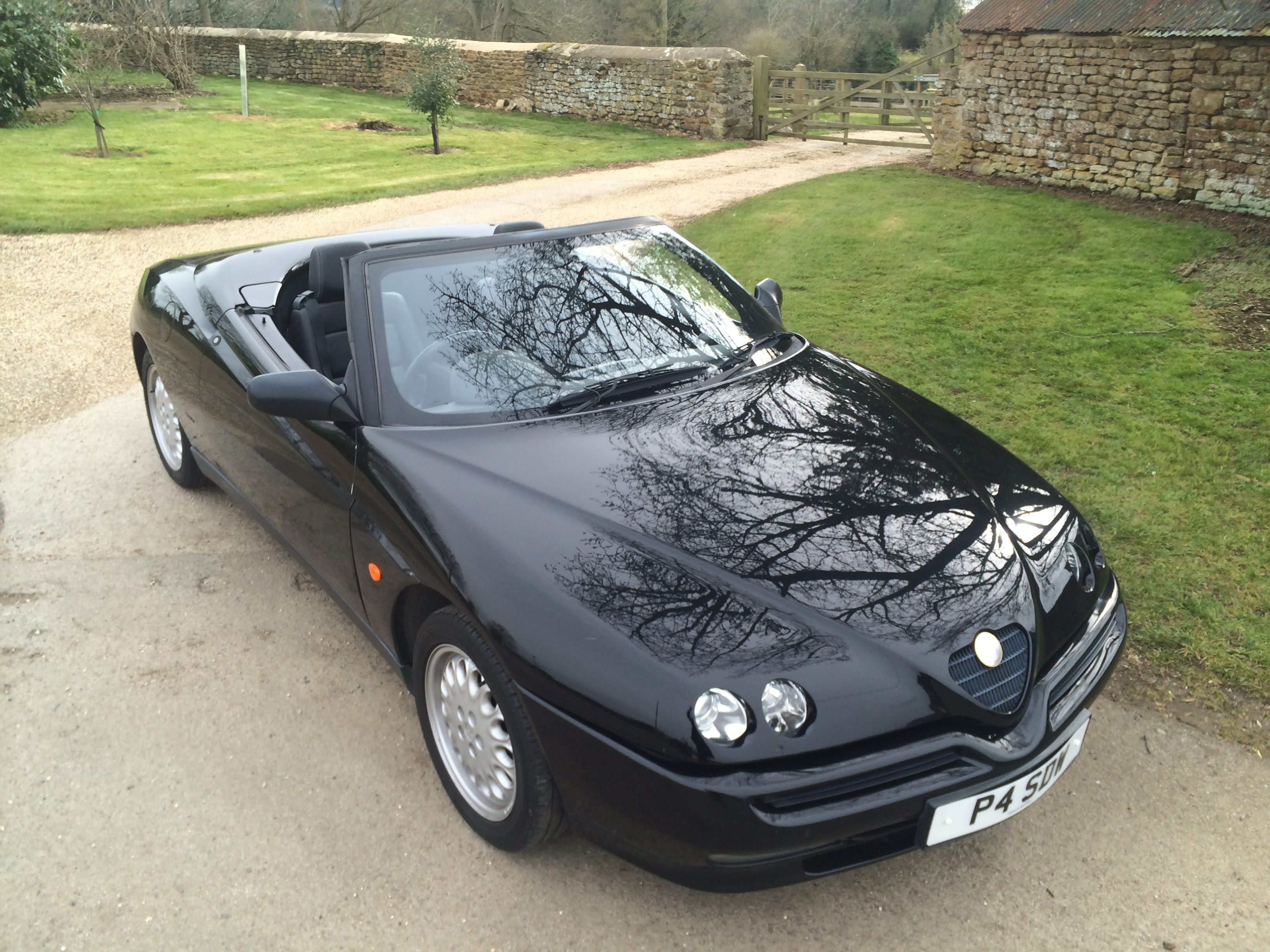 1996 Alfa Romeo Spider