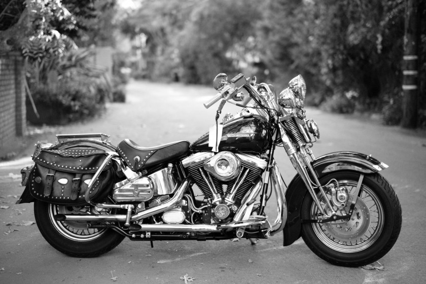 1989 Harley Davidson Softail Springer 1340 cc